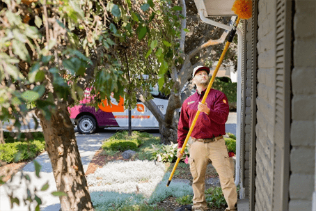 Seasonal Pest Threats