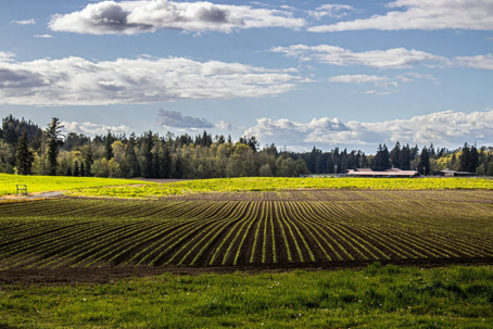 adapting pest control